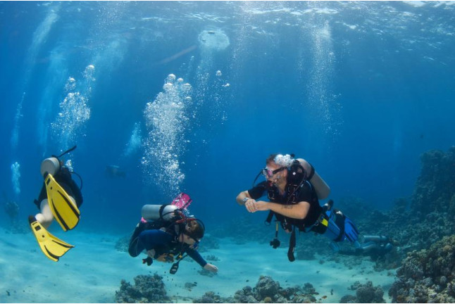 Curso de Buceo Open Water Diver (Tarragona)