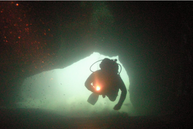 Open Water Diver (Tenerife)