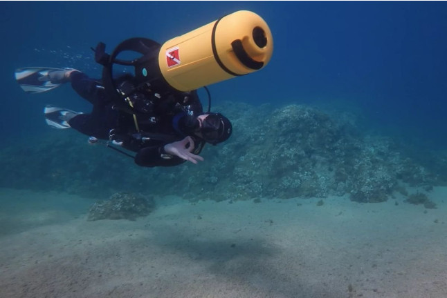 Curso de Open Water Diver (Calella de Palafrugell, Girona)
