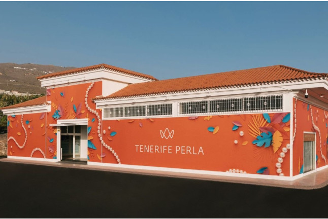 Pesca tu Perla Akoya: Pesca de una Ostra, Revelación y Valoración de la Perla con Montura Opcional (Tenerife)