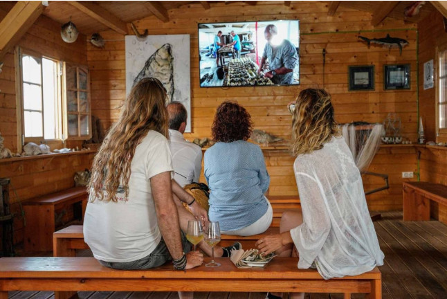 Paseo en Barco y Experiencia de Maridaje de Ostras para dos en el Mirador Badía (Delte de l'Ebre, Tarragona)