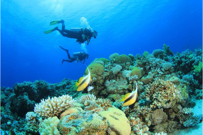 Pack Bautismo de Buceo