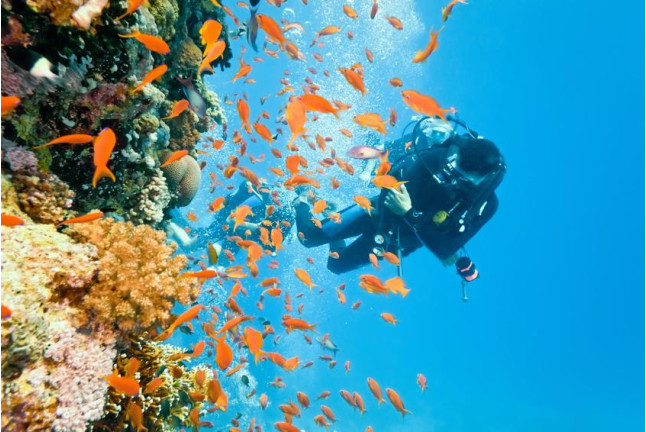 Pack Bautismo de Buceo