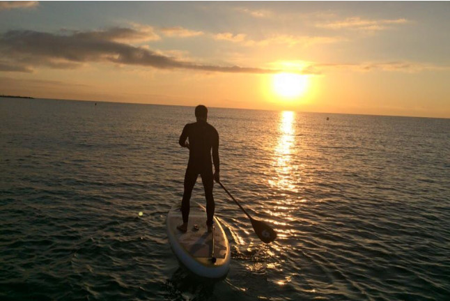 Paddle Surf  (Barcelona)