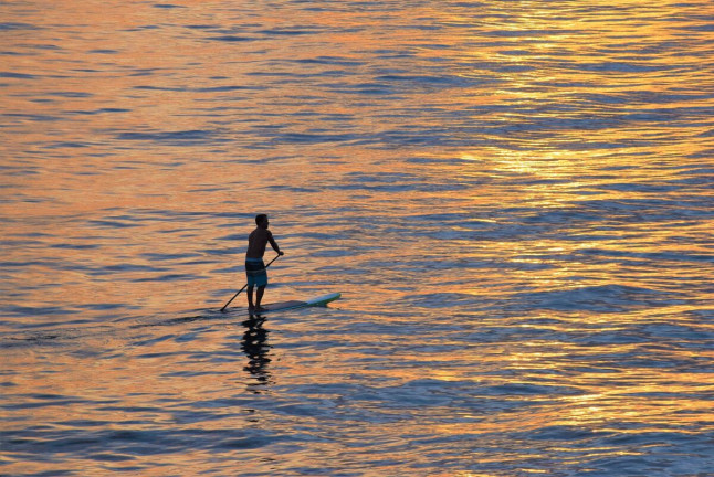 Paddle Surf  (Barcelona)