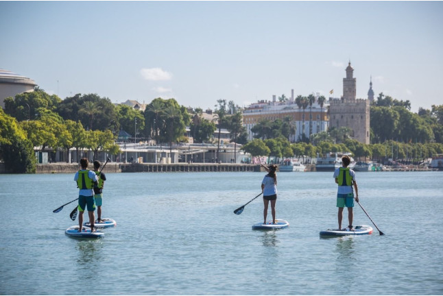 Ruta de Paddle Surf en el Río Guadalquivir (Sevilla)