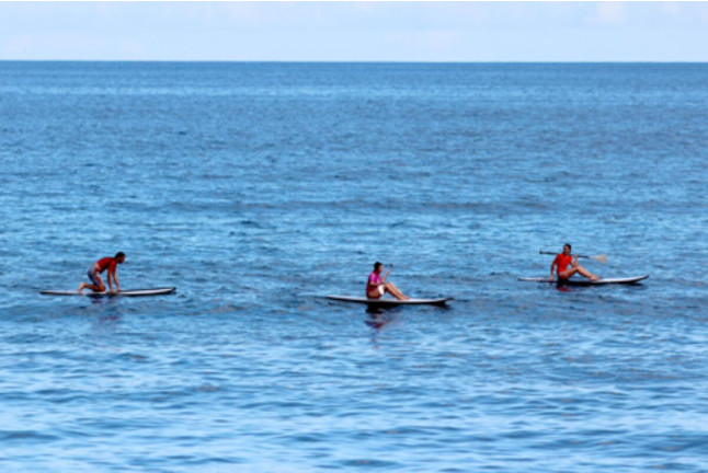 Paddle Surf (Gran Canaria)