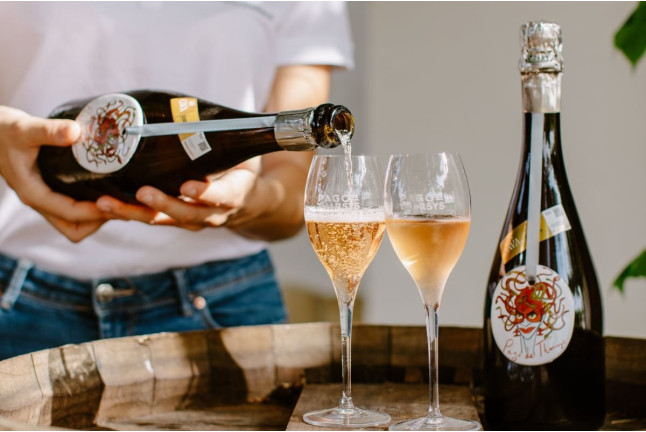 Noche entre Viñedos: Escapada con Desayuno y Visita a Bodega Pago de Tharsys con Cata y Embutidos para dos (L-J) (Valencia) 
