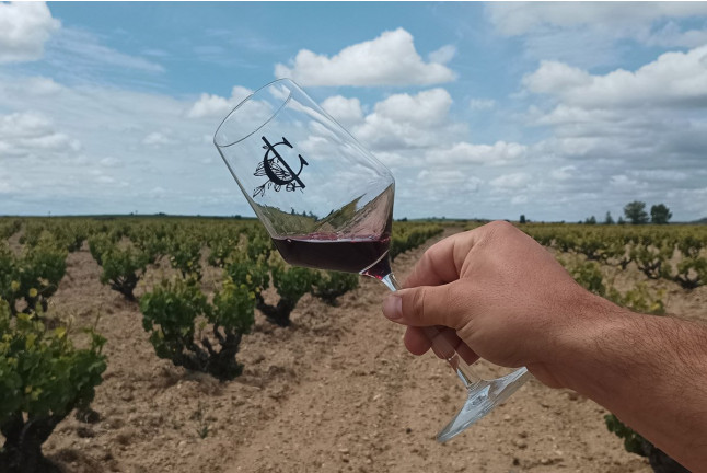 Visita a Bodega con Cata de Vinos y Aperitivo para dos en Palacio de Villachica (Toro, Zamora)