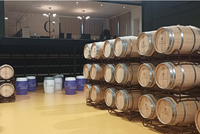 Visita a Bodega con Cata de Vinos y Aperitivo para dos en Palacio de Villachica (Toro, Zamora)
