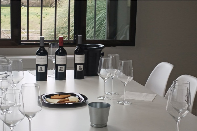 Visita a Bodega con Cata de Vinos y Aperitivo para dos en Palacio de Villachica (Toro, Zamora)