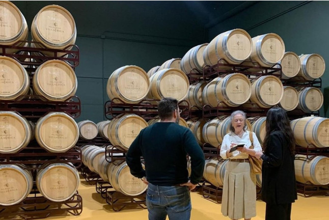 Visita a Bodega con Cata de Vinos y Aperitivo para dos en Palacio de Villachica (Toro, Zamora)