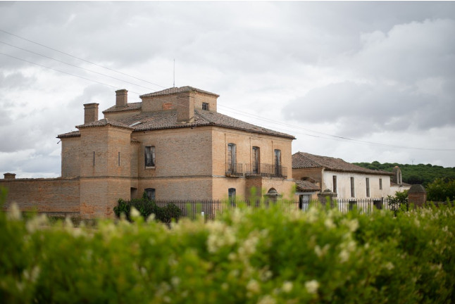 Visita a Bodega con Cata de Vinos y Aperitivo para dos en Palacio de Villachica (Toro, Zamora)
