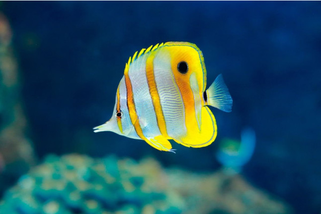 Entrada a Palma Aquarium (Palma de Mallorca)