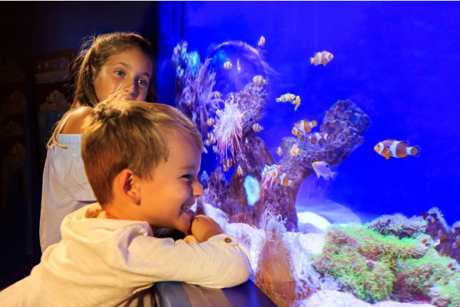 Entrada a Palma Aquarium (Palma de Mallorca)