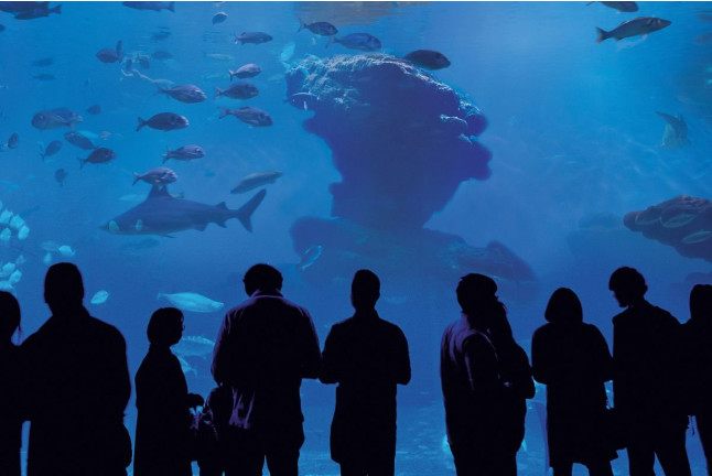 Entrada a Palma Aquarium (Palma de Mallorca)