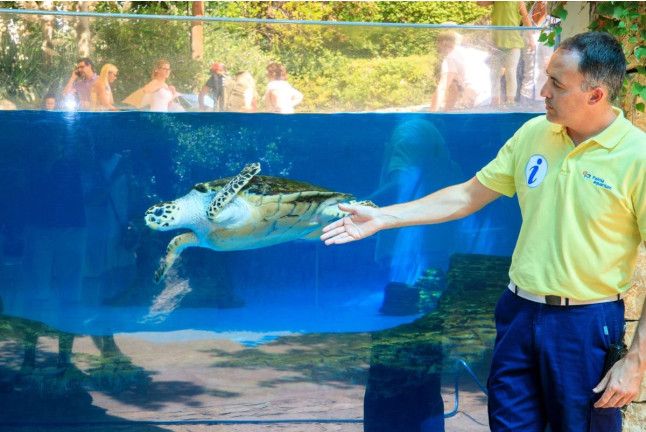 Entrada a Palma Aquarium (Palma de Mallorca)