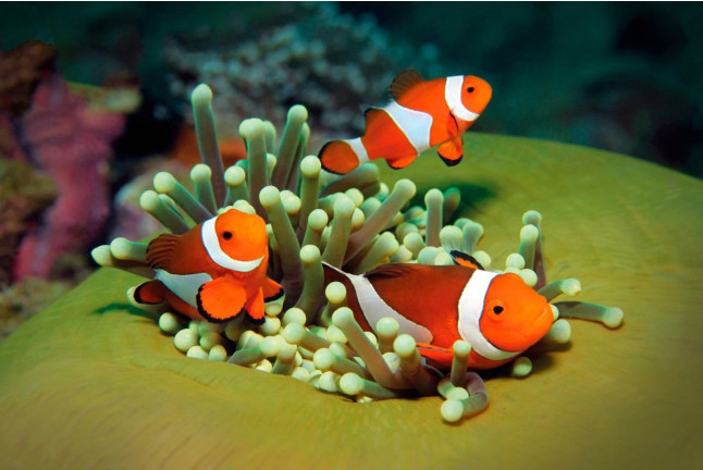 Entrada a Palma Aquarium (Palma de Mallorca)