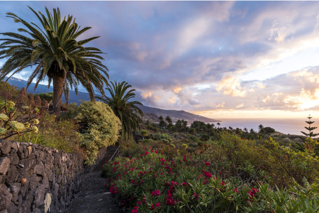 Escapada con Desayuno y Comida o Cena para dos personas en Parador de La Palma (Santa Cruz de Tenerife)
