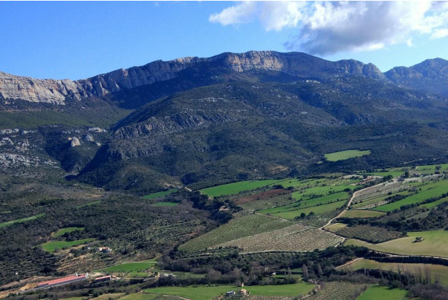 Paseo en Parapente (Áger, Lleida)