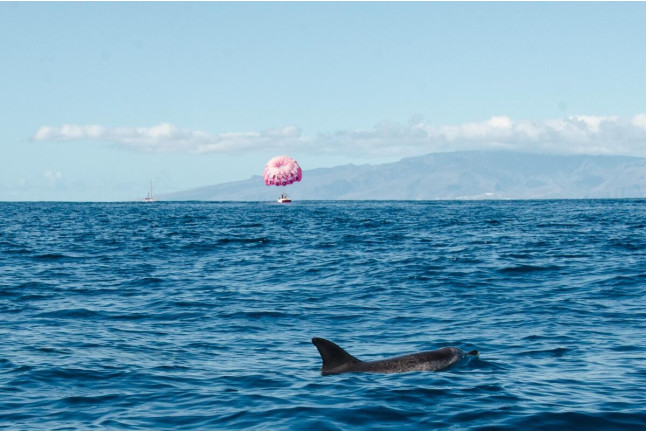 Parascending (Tenerife)