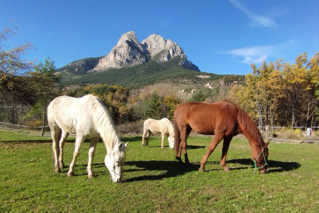 Ruta a Caballo con Fotos (Saldes, Barcelona)