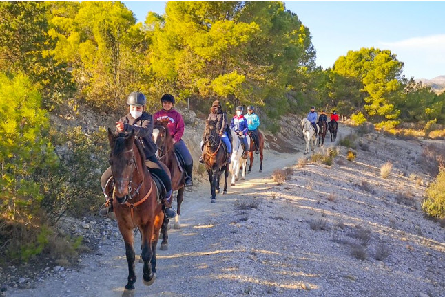 Paseo a Caballo por la Montaña con Vistas al Mar para dos (Villajoyosa, Alicante)