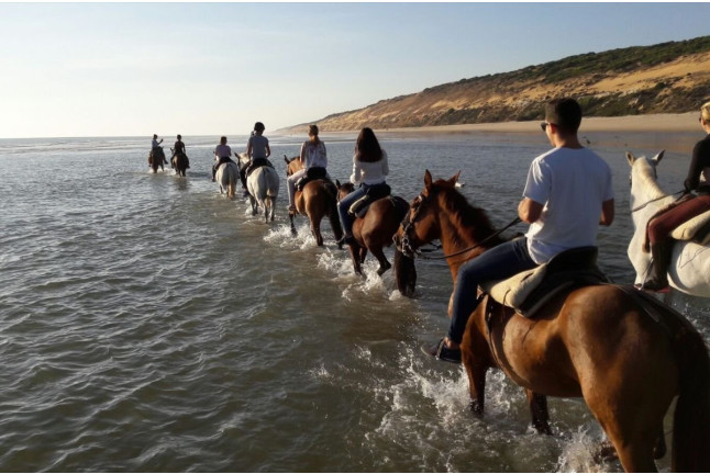 Ruta a Caballo (Villamanrique, Sevilla)