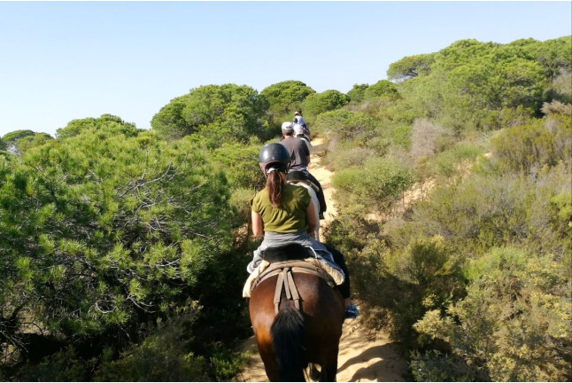 Ruta a Caballo (Villamanrique, Sevilla)