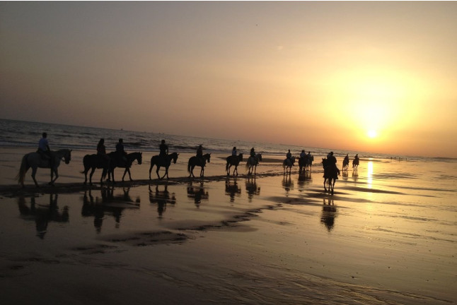 Ruta a Caballo (Villamanrique, Sevilla)