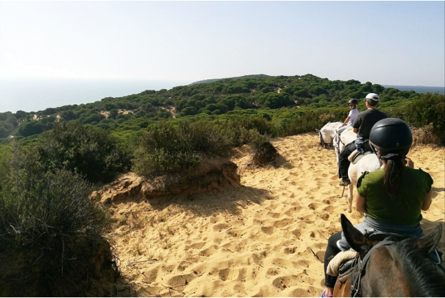 Ruta a Caballo (Villamanrique, Sevilla)