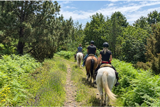 Paseo a Caballo (Icod de los Vinos, Tenerife)