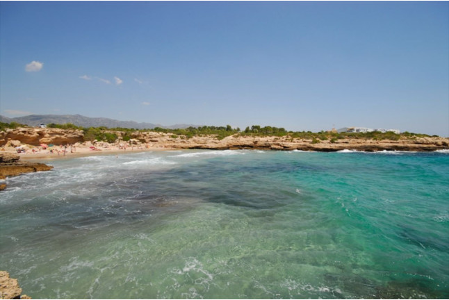 Paseo en Barca por Calas con Snorkel en la Cova del Llop Marí (Ametlla de Mar, Tarragona)