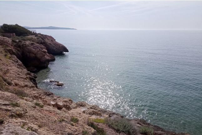 Paseo en Barca por Calas con Snorkel en la Cova del Llop Marí (Ametlla de Mar, Tarragona)
