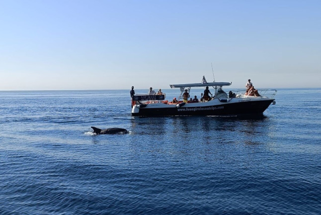 Paseo en Barco por la Costa del Sol con Avistamiento de Delfines (Fuengirola, Málaga) 