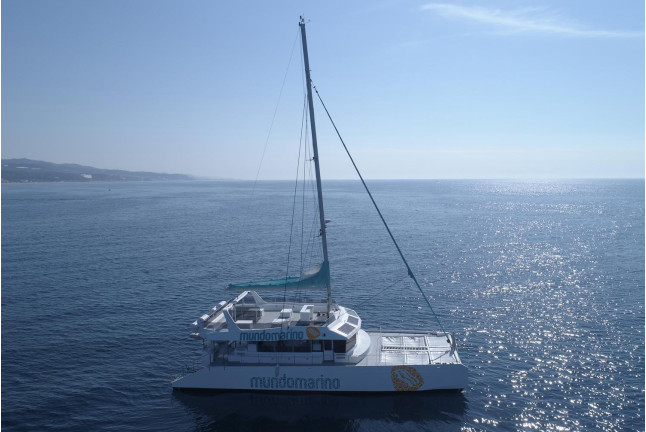 Excursión en Catamarán con Baño y Comida (Málaga)
