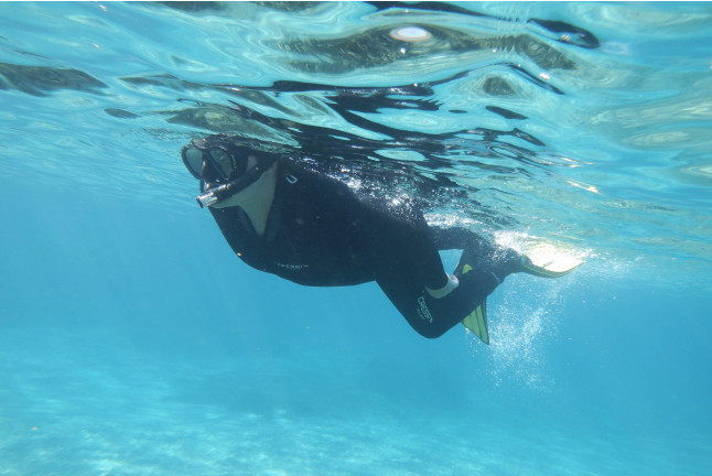 Paseo en Barco y Snorkel (Alicante)