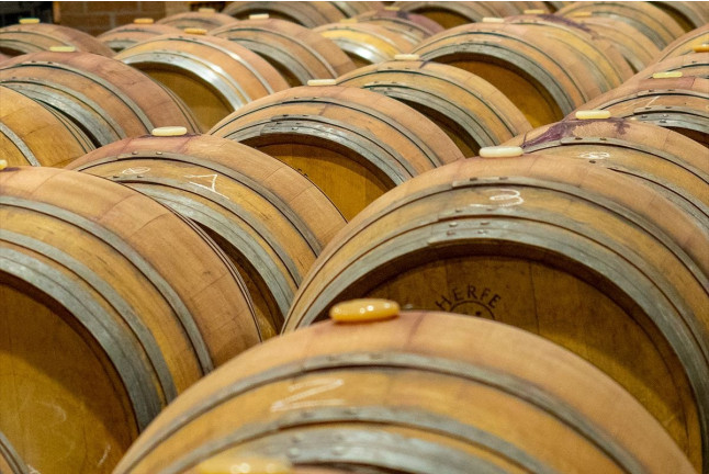 Paseo a Caballo y Visita a Bodega Vinícola de Arganda con Degustación de Vinos y Maridaje para dos (Madrid)