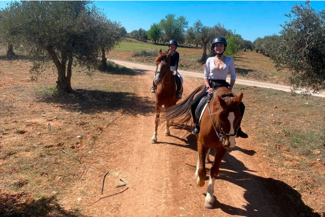 Paseo a Caballo y Visita a Bodega Vinícola de Arganda con Degustación de Vinos y Maridaje para dos (Madrid)