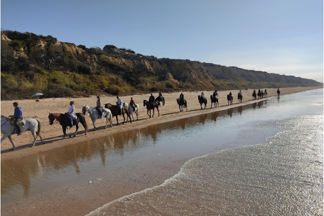 Paseo a Caballo por las playas de Doñana (Mazagón, Huelva)