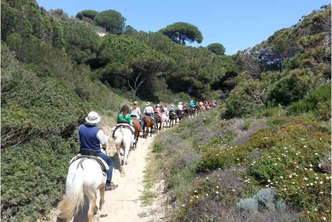 Paseo a Caballo por las playas de Doñana (Mazagón, Huelva)