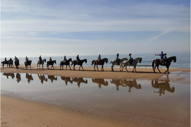 Paseo a Caballo por las playas de Doñana (Mazagón, Huelva)