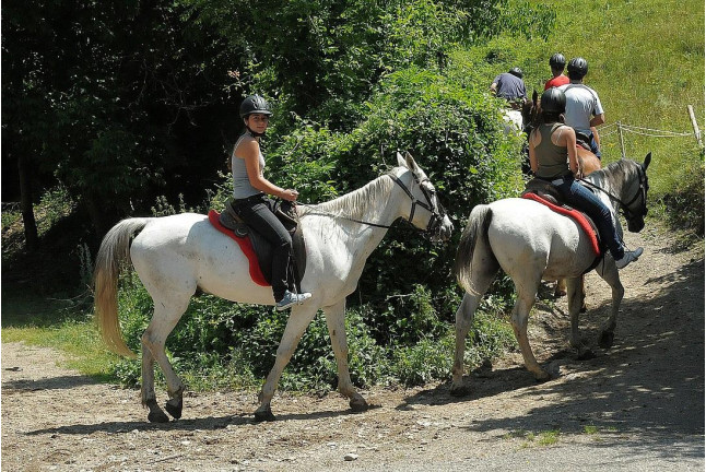 Paseo a Caballo para dos (Lleida)