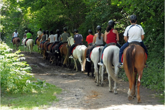 Paseo a Caballo para dos (Lleida)