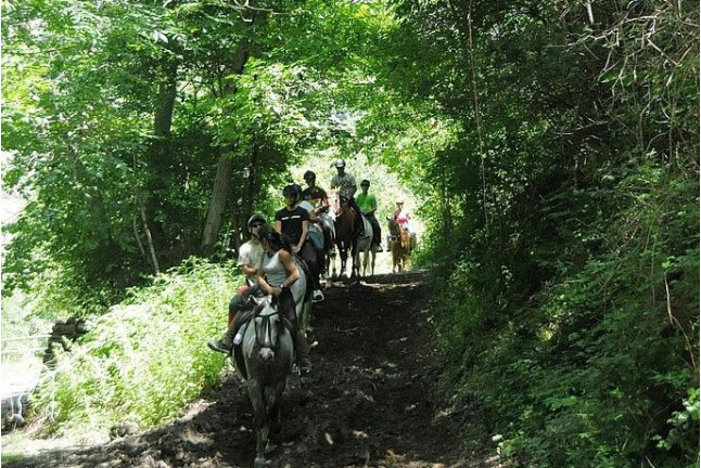 Paseo a Caballo para dos (Lleida)