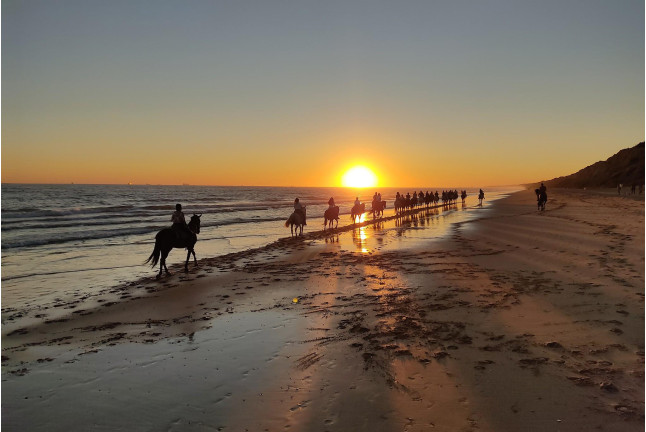 Paseo a Caballo al Atardecer por las playas de Doñana (Mazagón, Huelva)