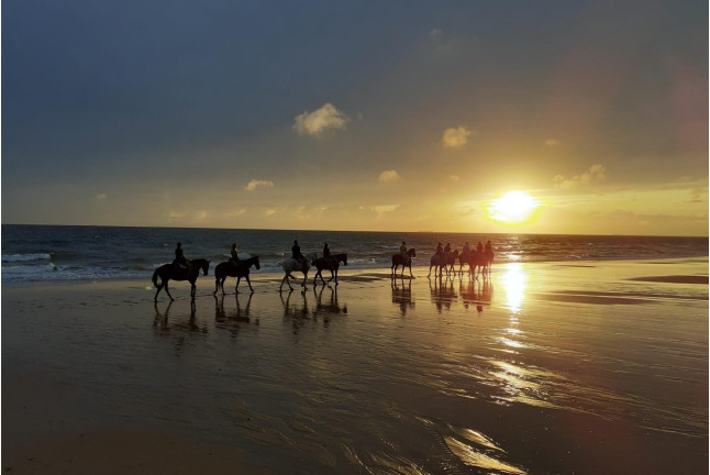 Paseo a Caballo al Atardecer por las playas de Doñana (Mazagón, Huelva)