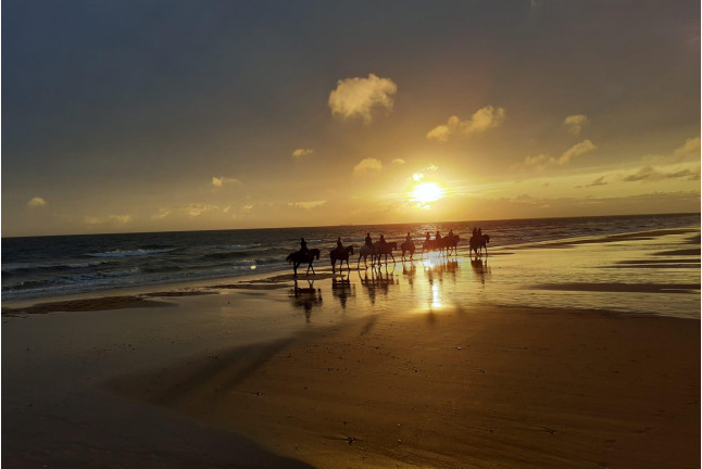 Paseo a Caballo al Atardecer por las playas de Doñana (Mazagón, Huelva)