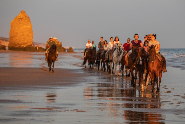 Paseo a Caballo al Atardecer por las playas de Doñana (Mazagón, Huelva)