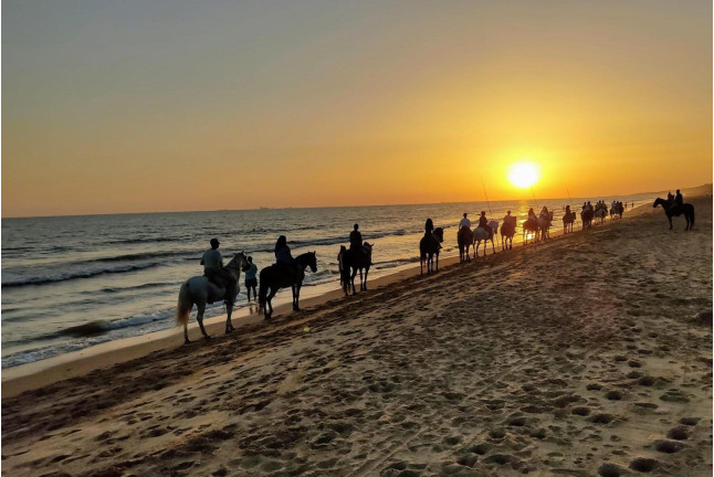 Paseo a Caballo al Atardecer por las playas de Doñana (Mazagón, Huelva)